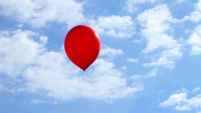 Balloon_In_The_Sky